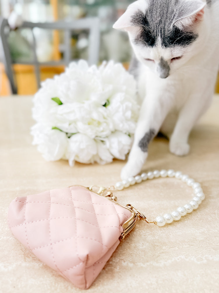 Charming Kiss Lock Wristlet/Crossbody Bag for Children or Ladies