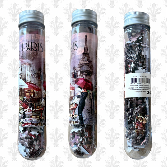 Paris Lovers Mini Puzzle in Test Tube – Imported from France