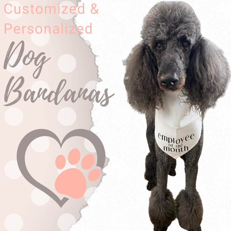 Employee of the month pet bandana
