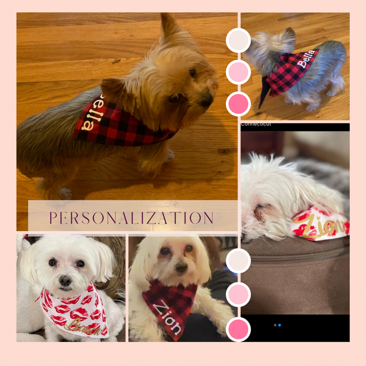 Personalized Couture Dog/Cat Bandanas