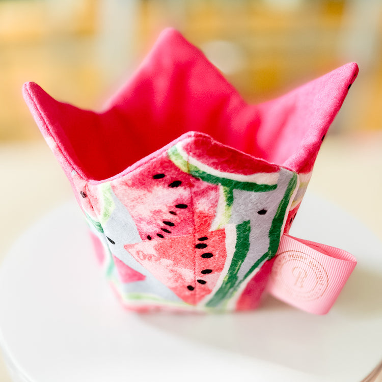 Ice Cream Koozie in a Summer Watermelon Print