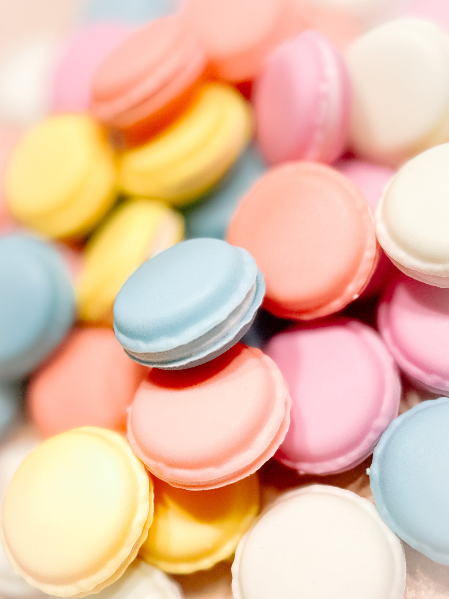 Macaron Containers Petite Macaron Containers – Chic Peony Boutique