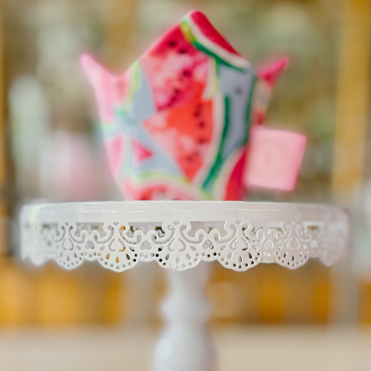 Ice Cream Koozie in a Summer Watermelon Print