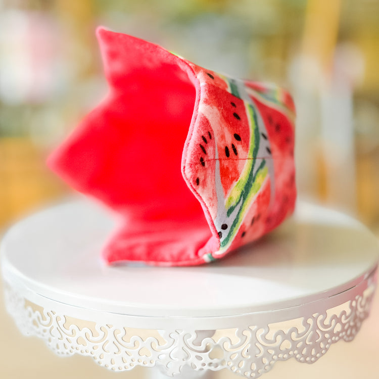 Ice Cream Koozie in a Summer Watermelon Print