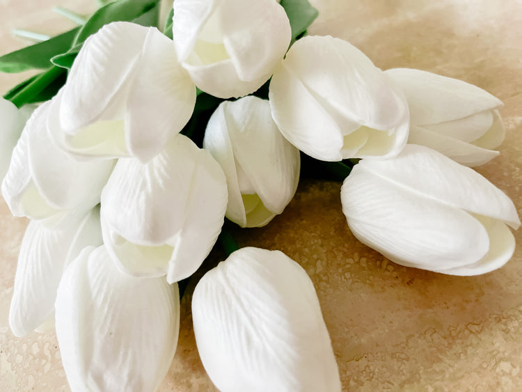 10 Life-Like White Tulips